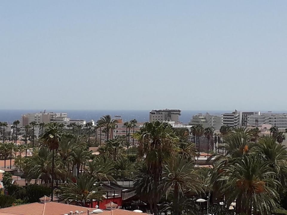 City view, Sea view