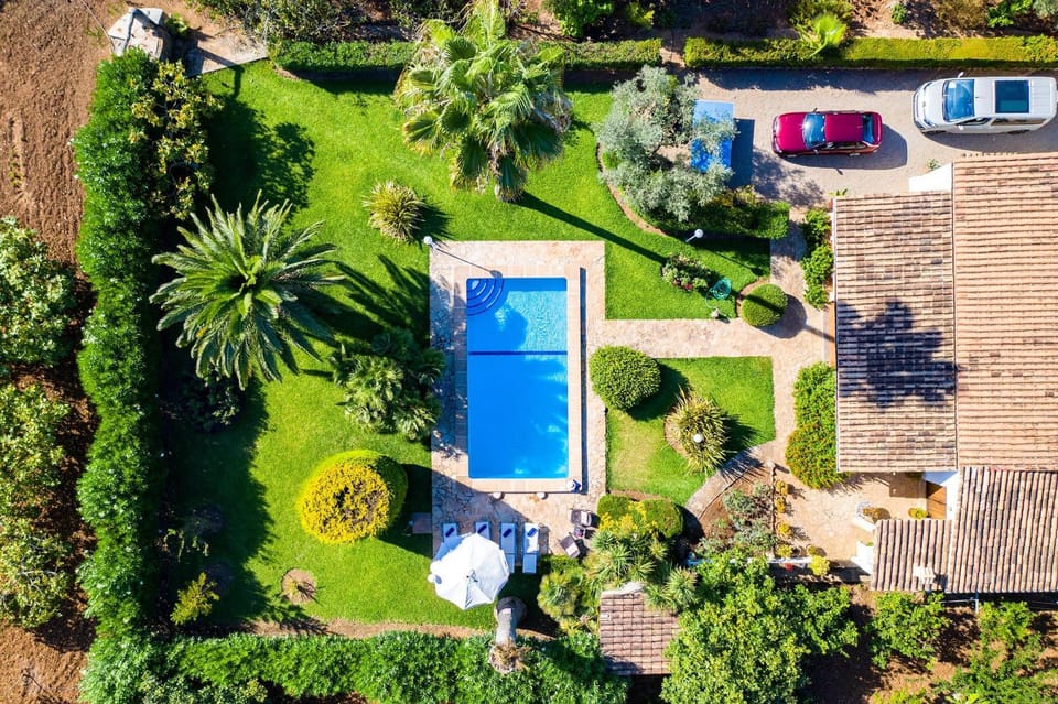 Bird's eye view, Other