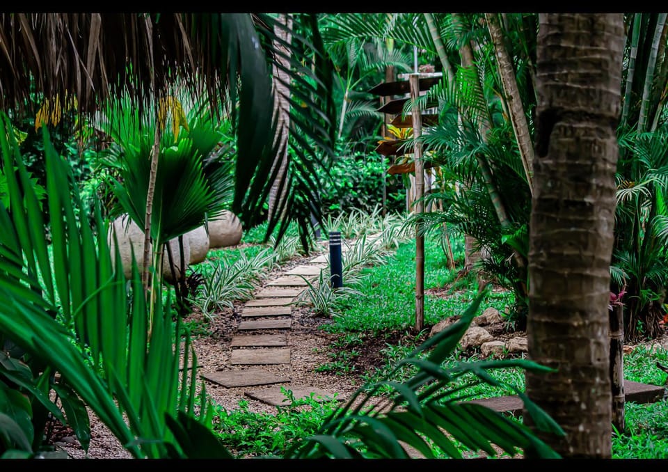 Garden, Garden view, Garden view