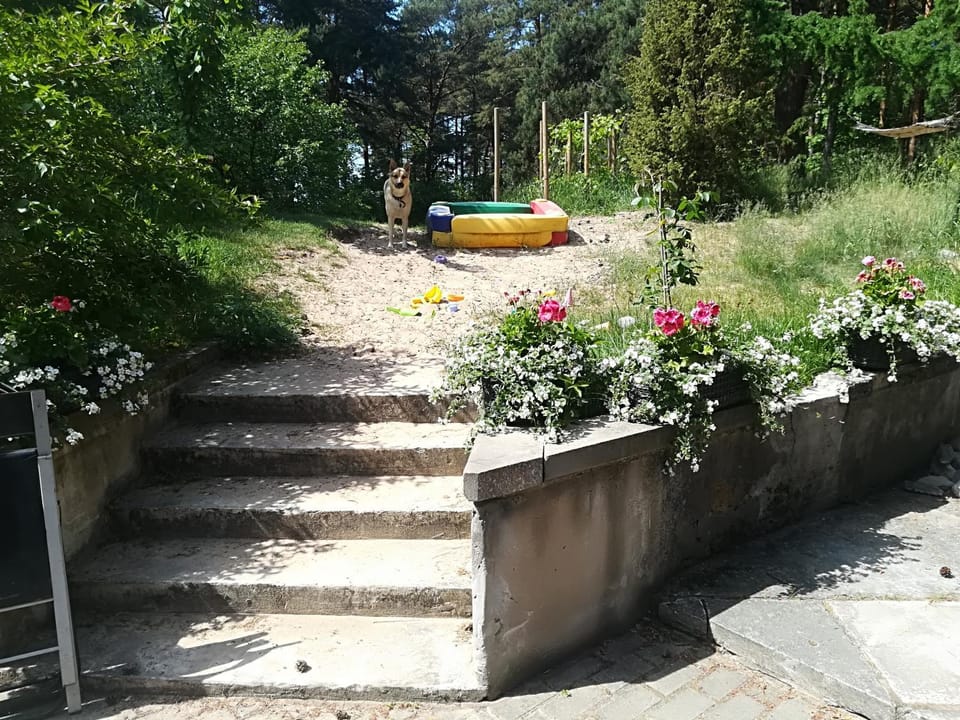 Natural landscape
