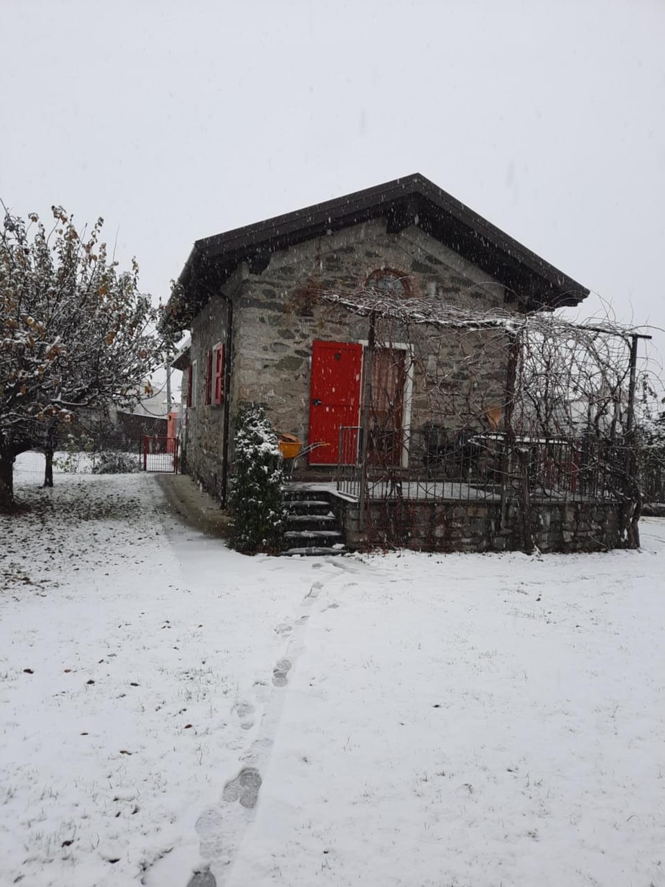 Winter