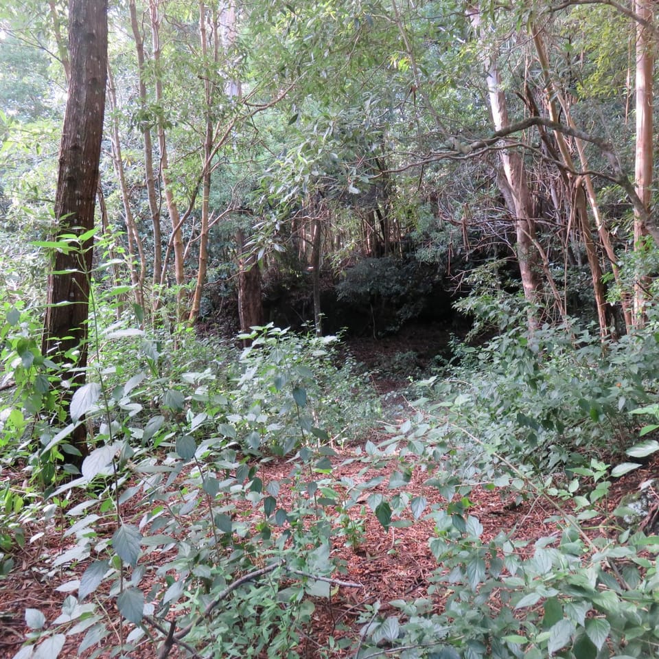 Natural landscape