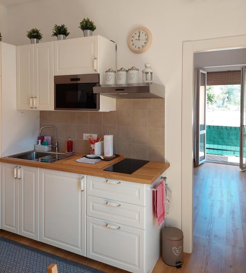Coffee/tea facilities, Kitchen or kitchenette, minibar, pet friendly, stove