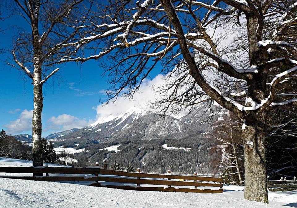 Off site, Winter, Skiing, Skiing, Hiking, Hiking, Mountain view, Family