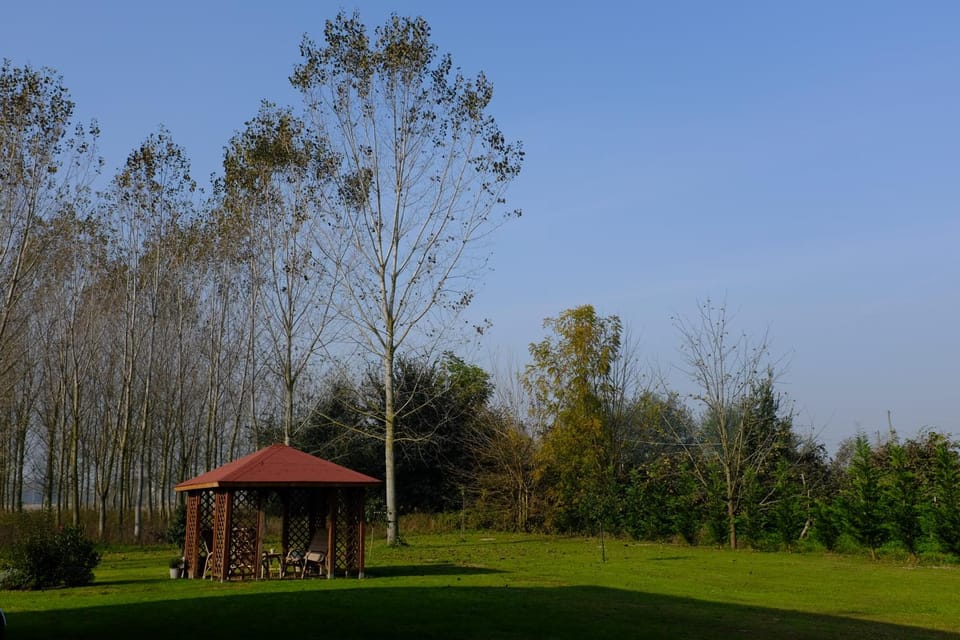 Garden, Garden