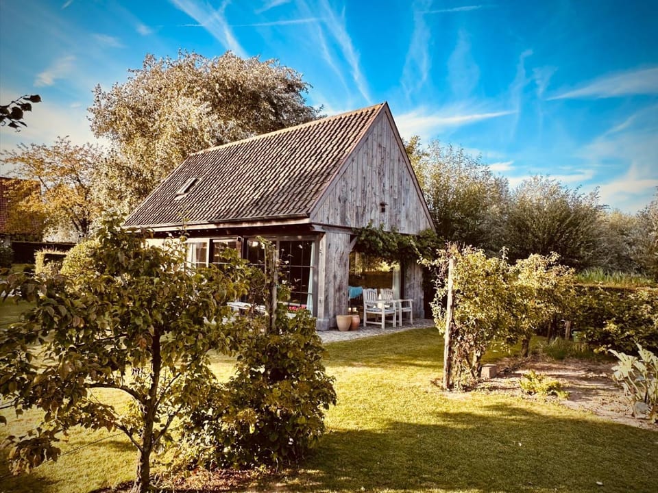 Property building, Garden, Garden view
