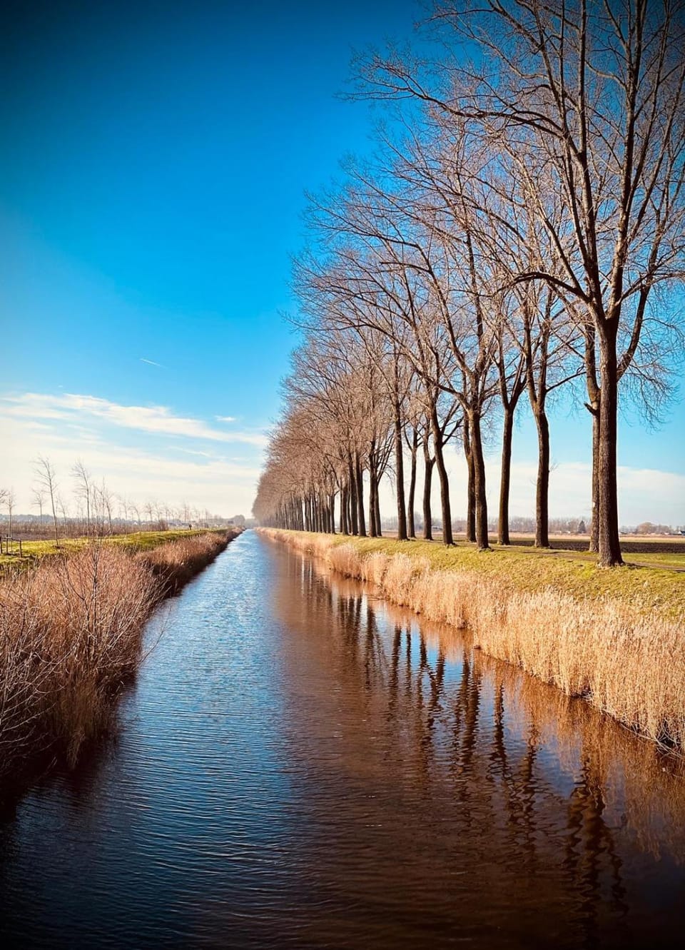 Natural landscape, River view