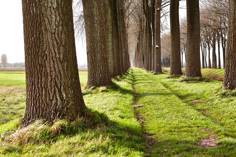 Neighbourhood, Natural landscape