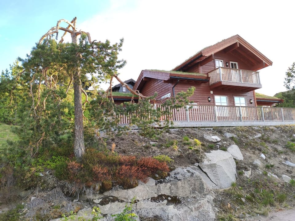 Property building, Garden, Garden view