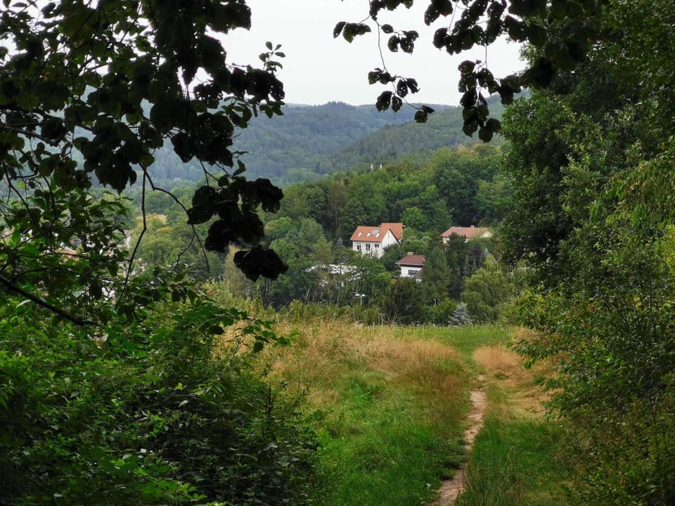 Natural landscape, Bird's eye view