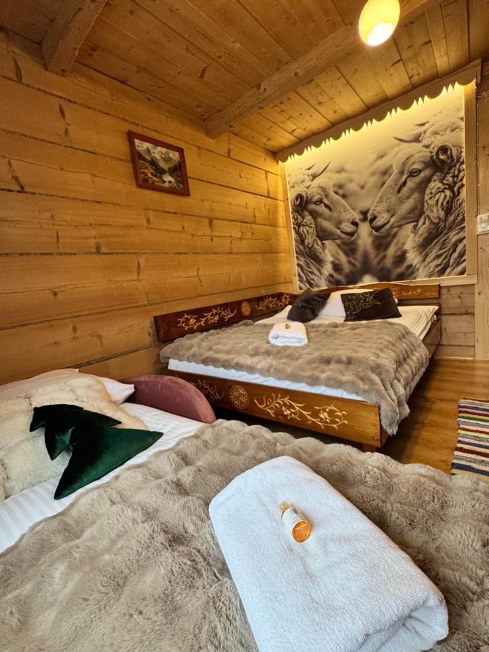 Pokoje i Apartamenty Regionalny Styl ul Bachledy 41 Zakopane Apartment in Zakopane