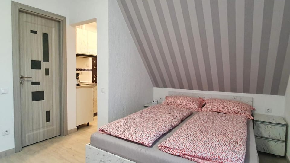 Studio V&P Apartment in Sibiu