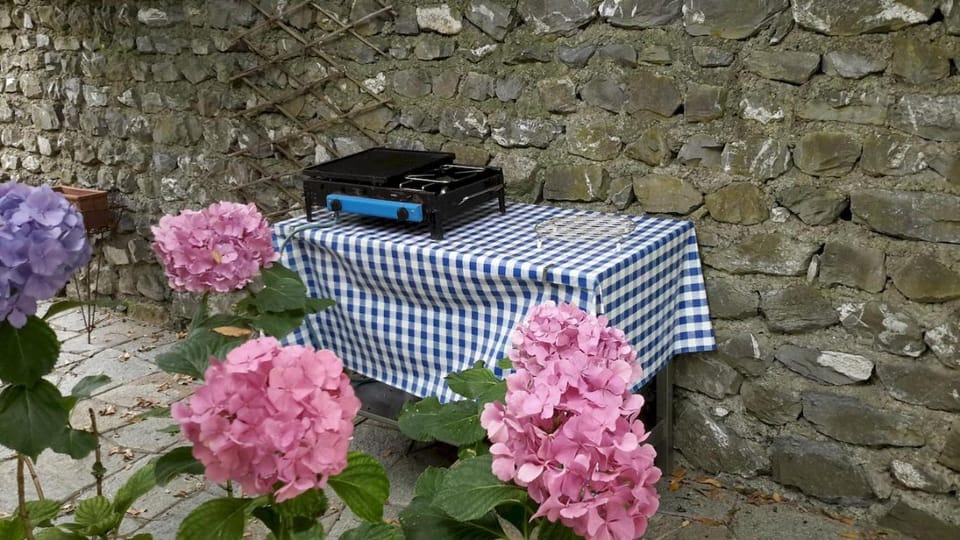 Deliziosa casetta con dehor e giardino immersa nel verde Ligure Apartment in Imperia