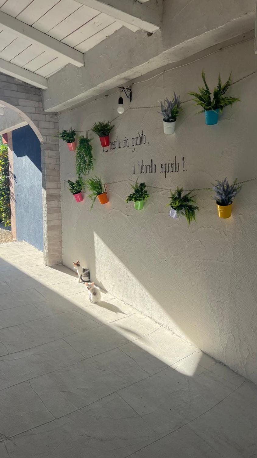 B&B Gli amici del tubarello Bed and Breakfast in Abruzzo