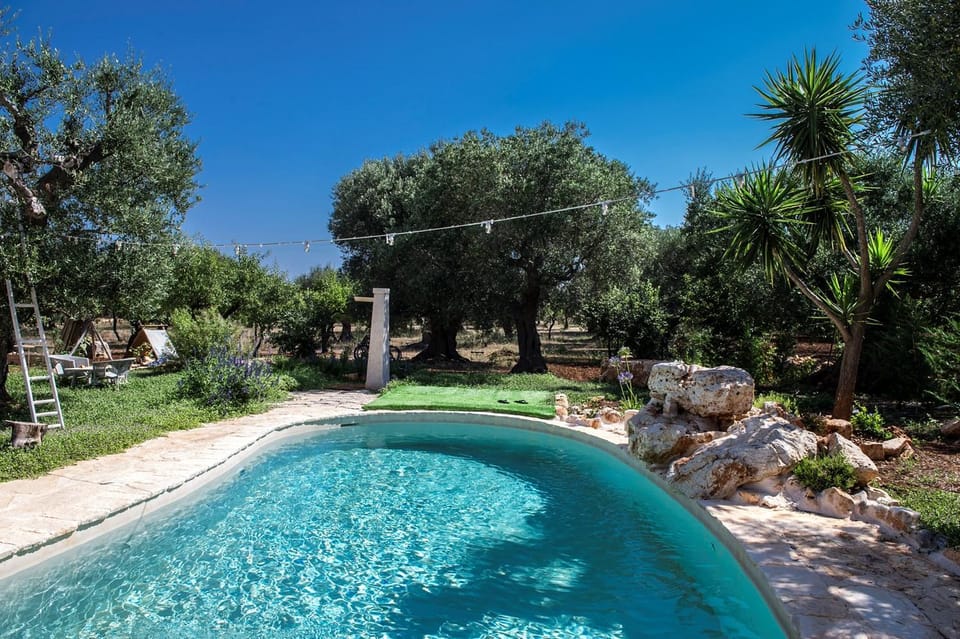 Natural landscape, Summer, Garden, Garden view, Pool view, Swimming pool, Swimming pool