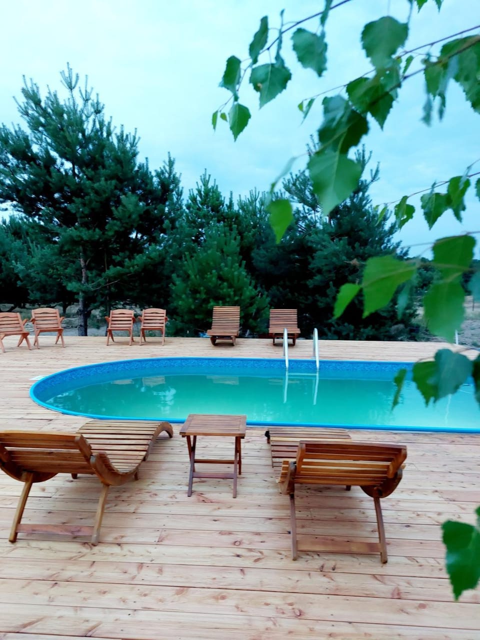 Pool view, Swimming pool, sunbed