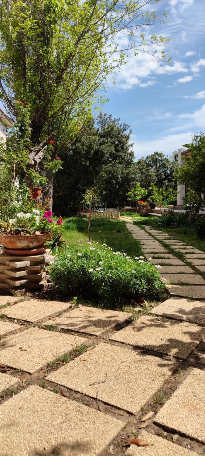 Garden