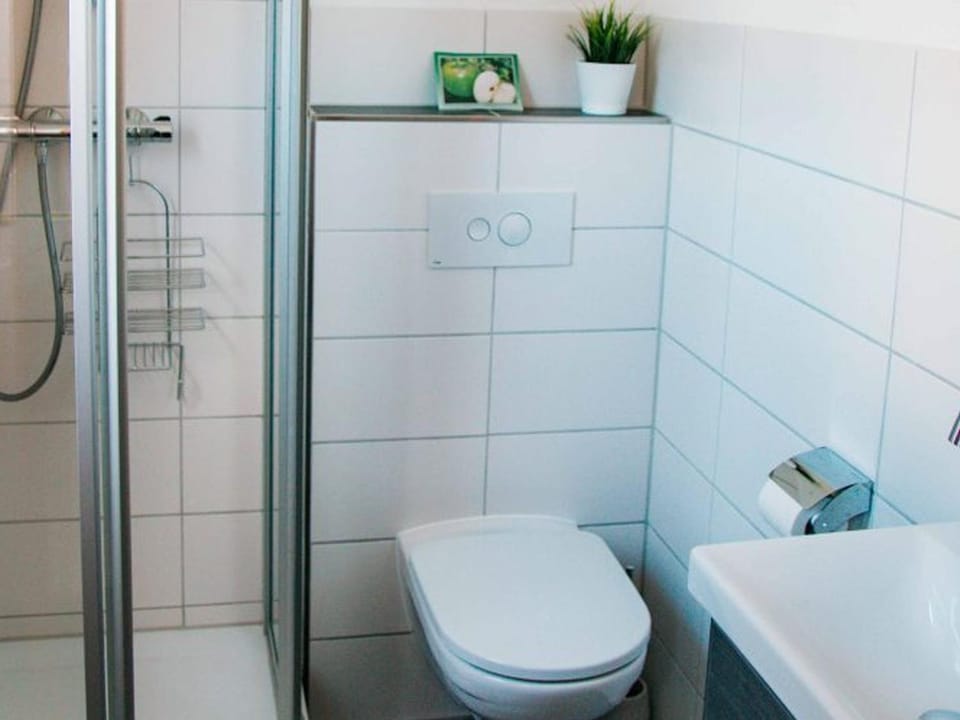 Bathroom, Living room