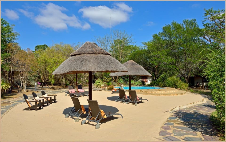Beach, Swimming pool