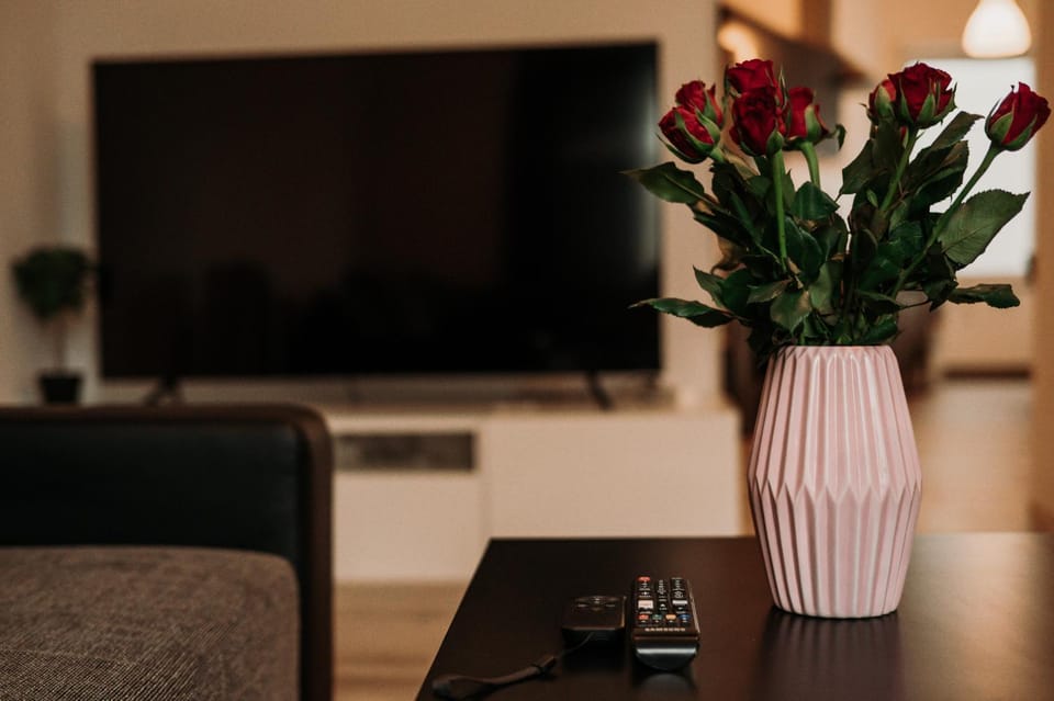 Loft Riva II - Terrasse, Smart TV, Klimaanlage, Parkplatz frei, Minibar Apartment in Hamm