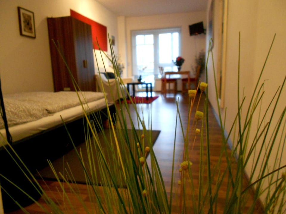 Living room, Photo of the whole room