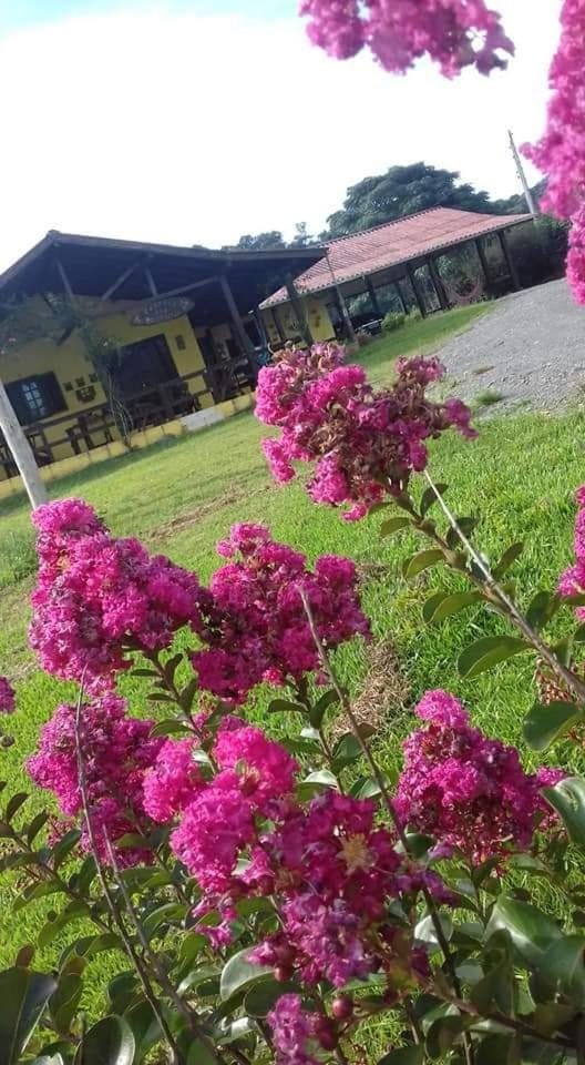Casa de campo Recanto das Borboletas House in State of Santa Catarina