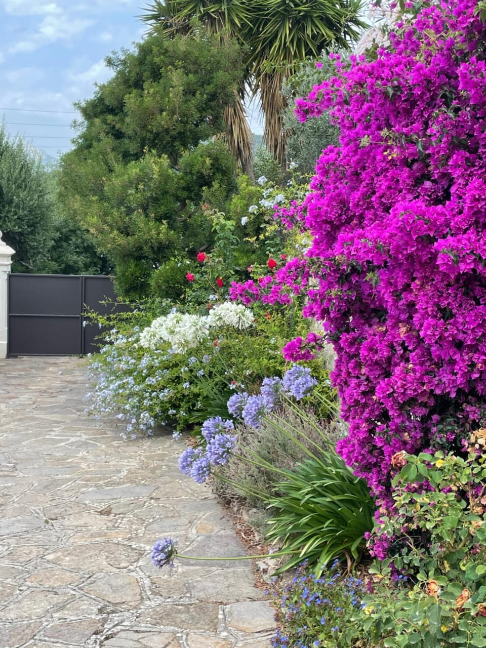 Les Trèfles Vacation rental in Hyères
