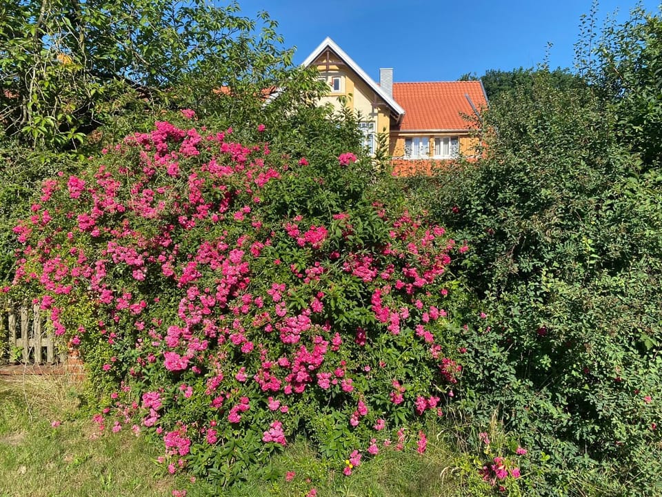 Wohnfass Fuchsbau Campground/ 
RV Resort in Walsrode
