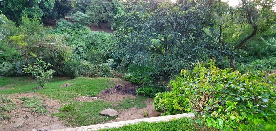 Natural landscape, Garden