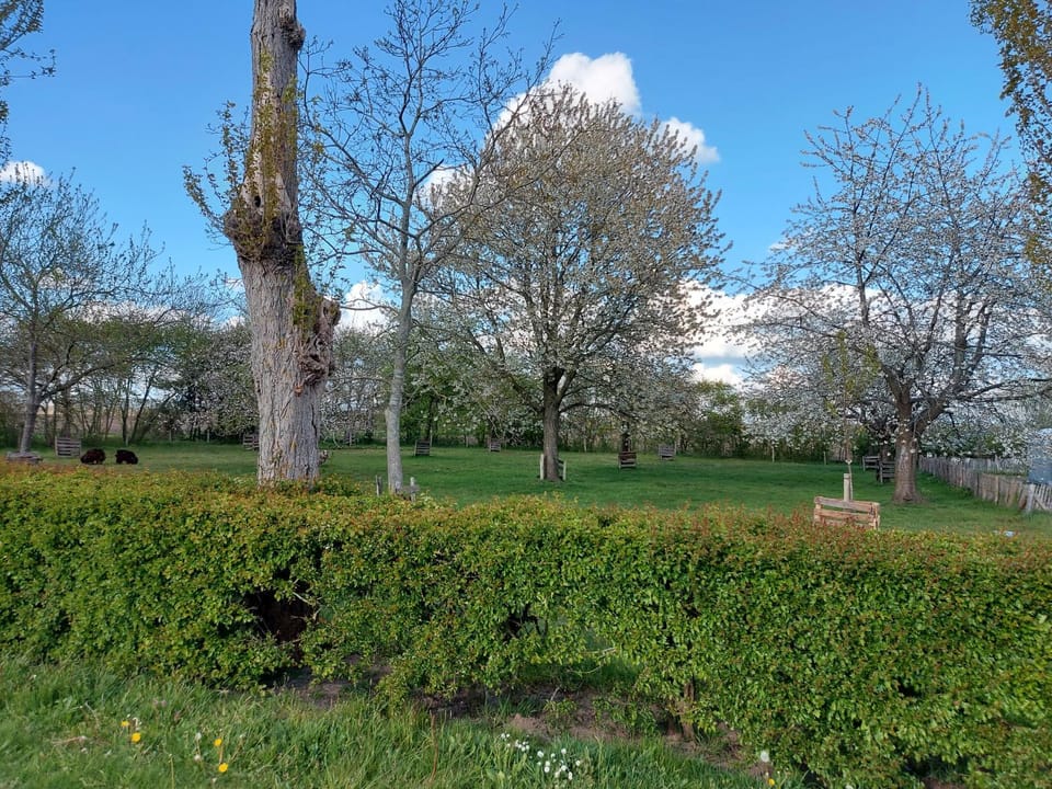 Bij grenspaal 243 Chalet in North Brabant (province)