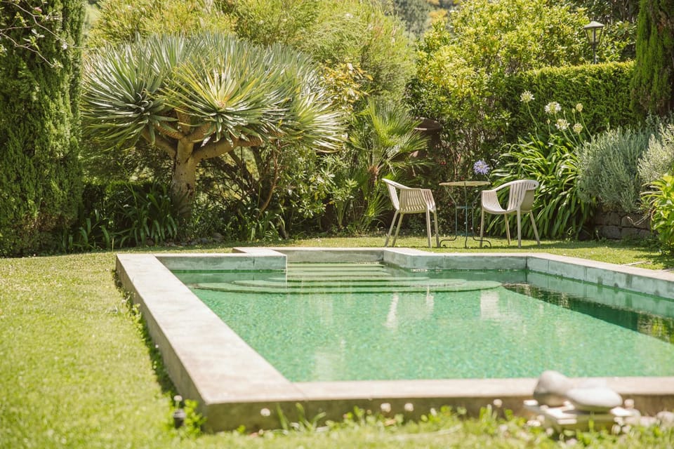 Garden, Swimming pool