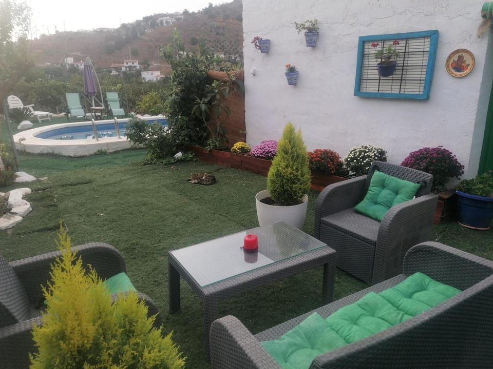 Patio, Garden