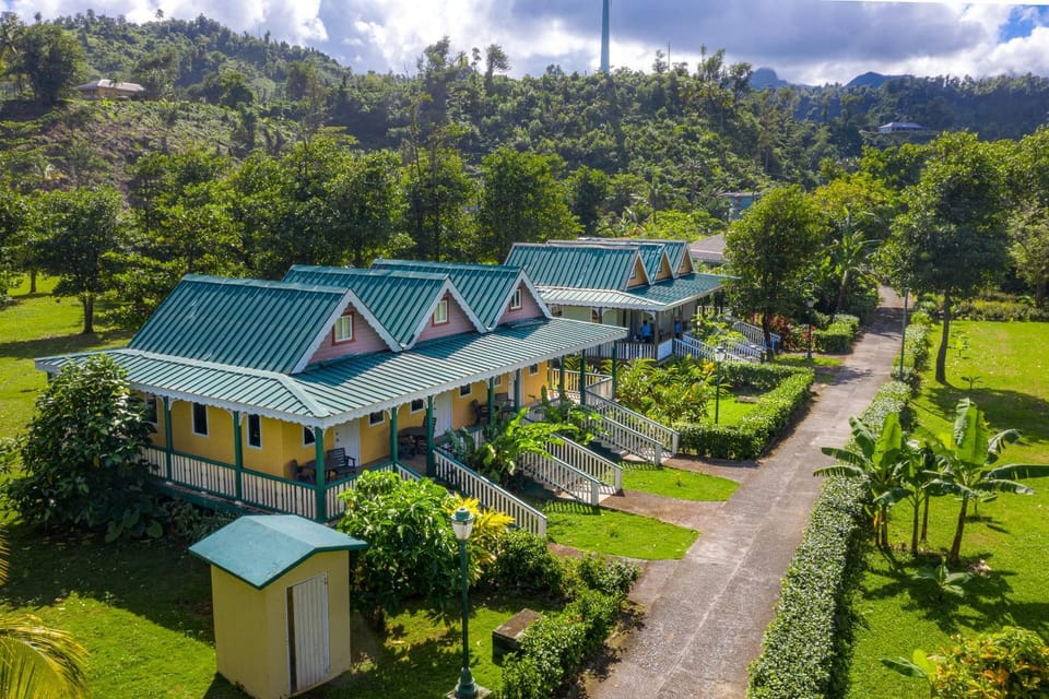 Property building, Bird's eye view, Garden view