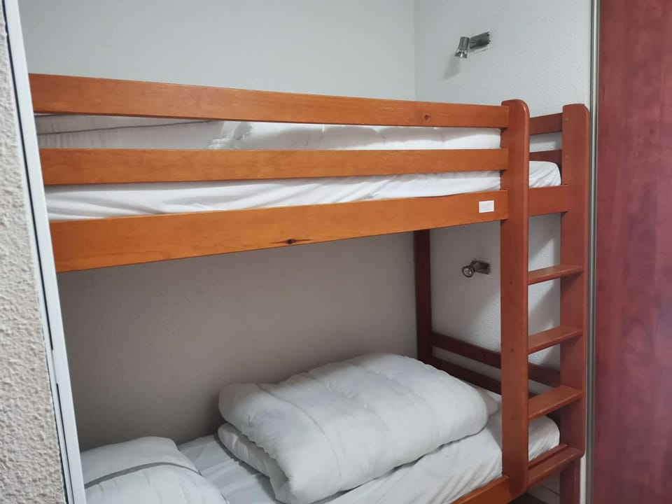 Charmant studio cabine pour 4 avec terrasse, piscine couverte, parking et salle de fitness à 400m des pistes - FR-1-404-245 Cabin in Aragon