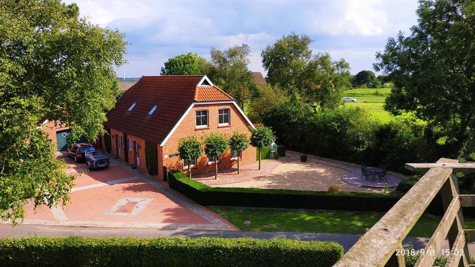 Property building, Day, Garden