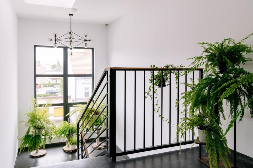 Natural landscape, Lobby or reception, Decorative detail