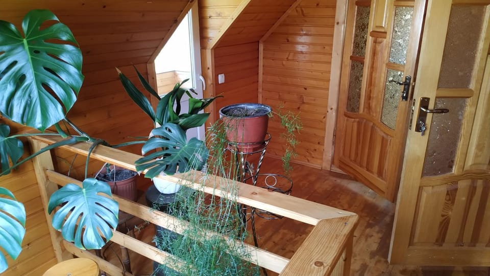 Хатина на Порташі House in Ukraine