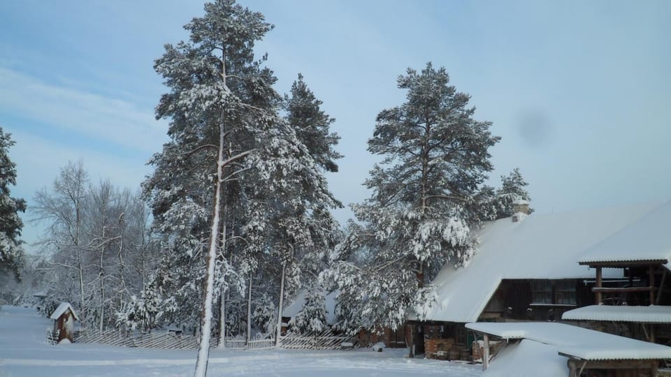 Natural landscape, Winter