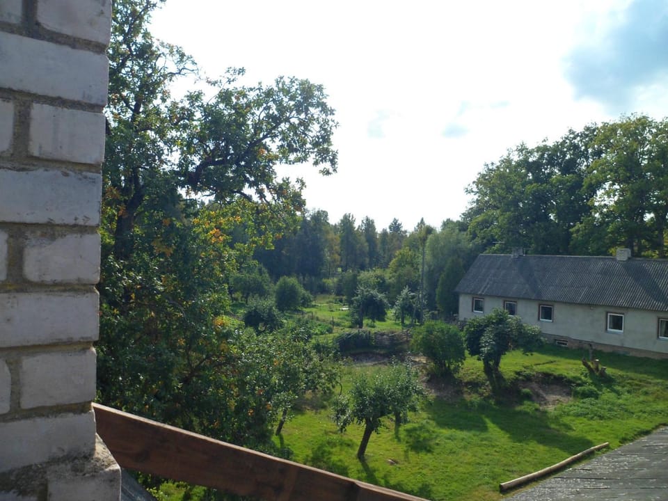 Bird's eye view, Garden