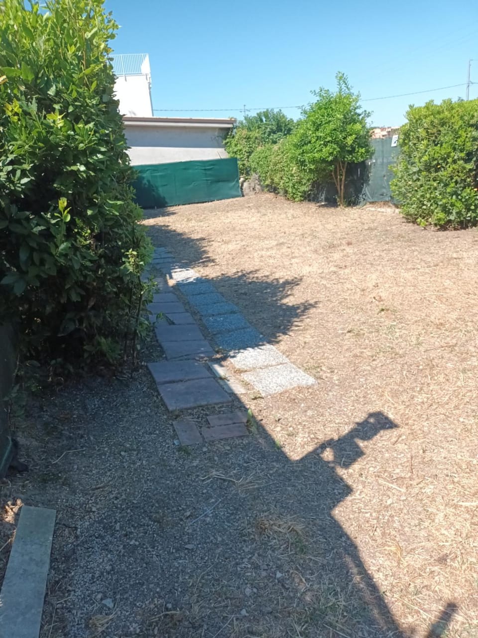 Bouganville A apartament B&B Apartment in Civitanova Marche