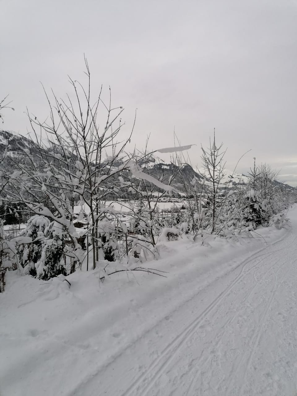 Natural landscape