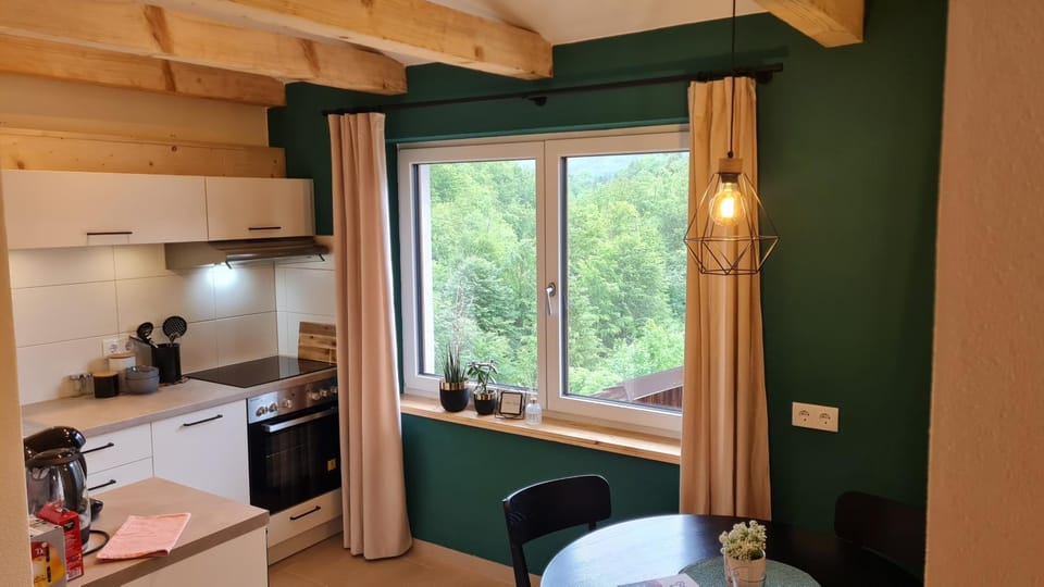 Kitchen or kitchenette, kitchen