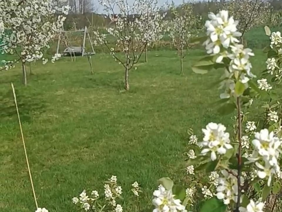 E Berry Farm - Slow life home House in Lower Silesian Voivodeship