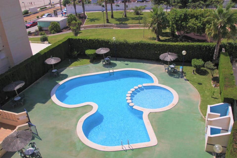 Garden, Swimming pool