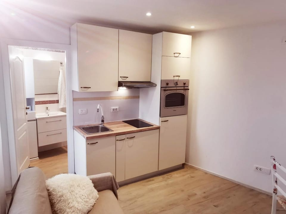 Matej Apartment in Primorje-Gorski Kotar County