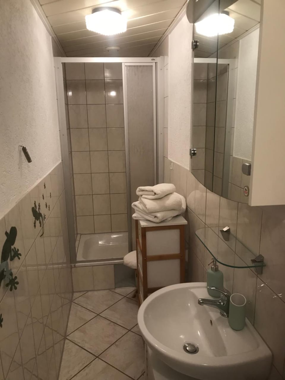 Ferienwohnung15 Ehrenfriedersdorf Apartment in Erzgebirgskreis