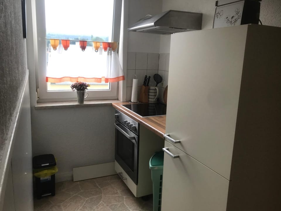 Ferienwohnung15 Ehrenfriedersdorf Apartment in Erzgebirgskreis
