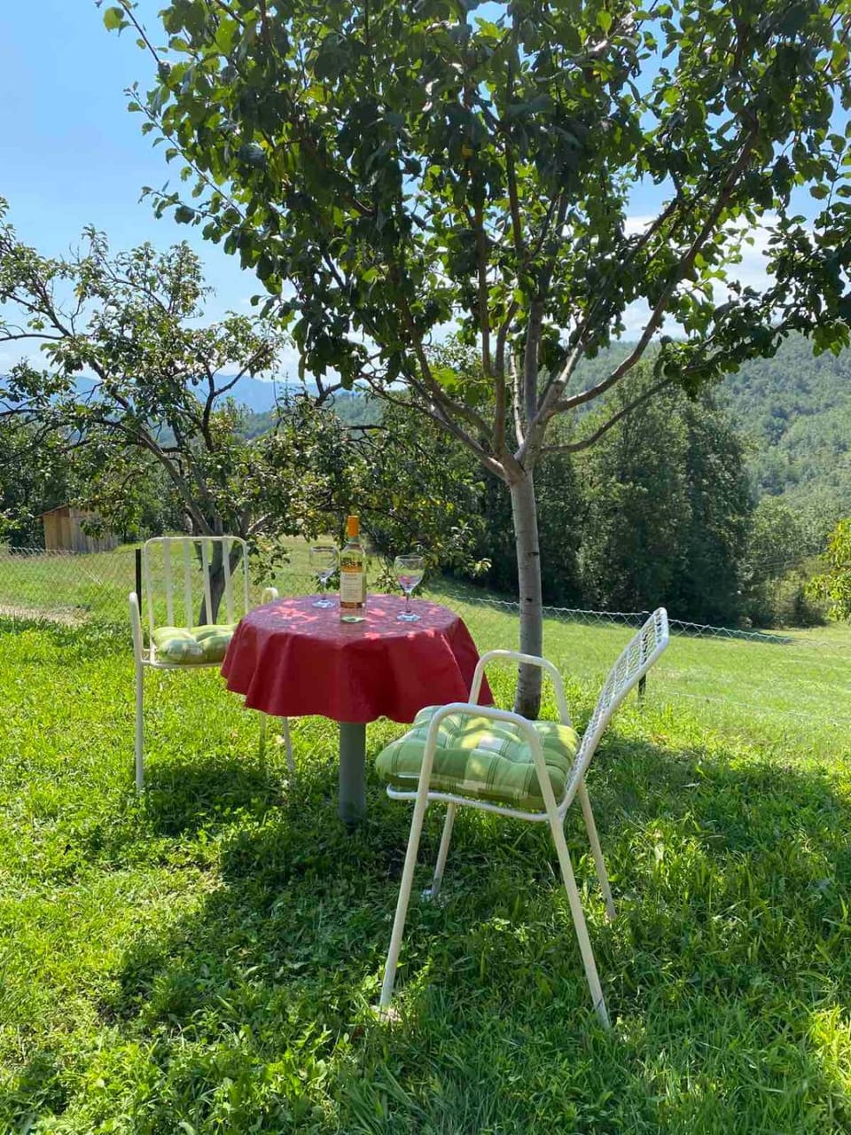 Etno kuća Mladenović House in Serbia