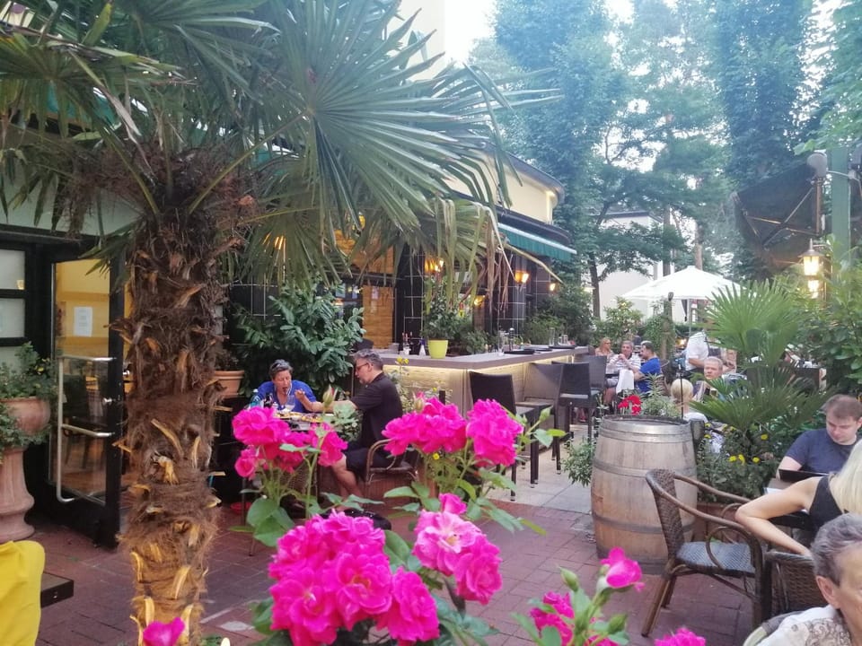 Restaurant/places to eat, Spring, Day, People, Garden, Banquet/Function facilities, Garden view, group of guests