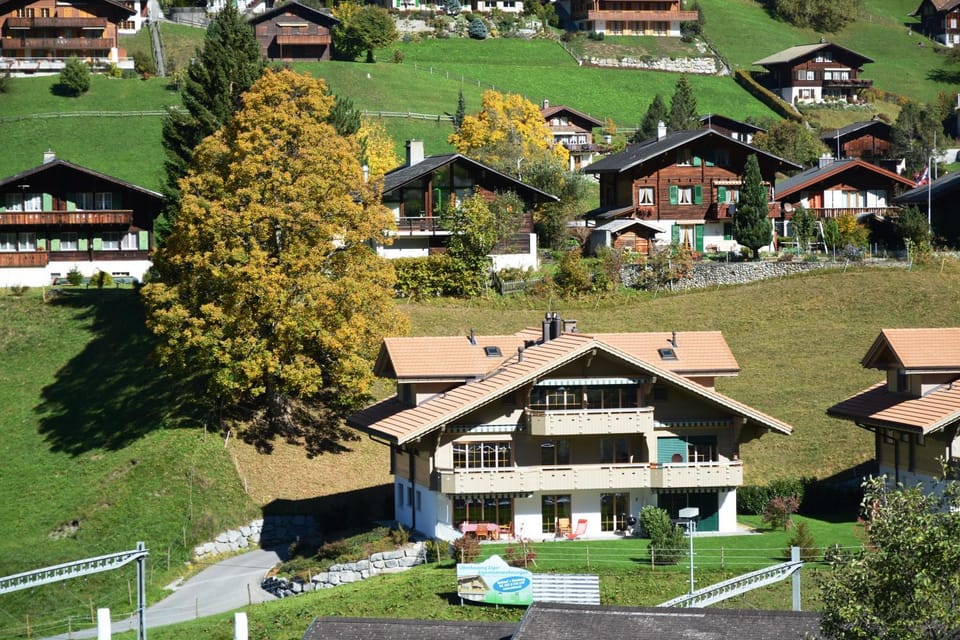 Facade/entrance, Bird's eye view, Summer